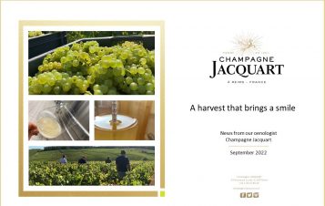 Some sunny news from France | An update from Champagne Jacquart and Champagne Montaudon