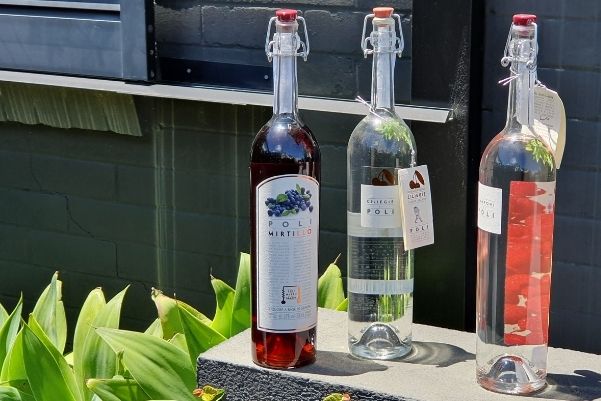 Single Vineyard Sellers - Grappa: What it is and How to Drink it - Single  Vineyard Sellers