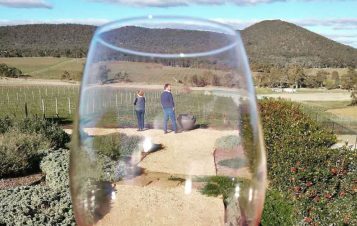Small and Handcrafted Wines From Henty